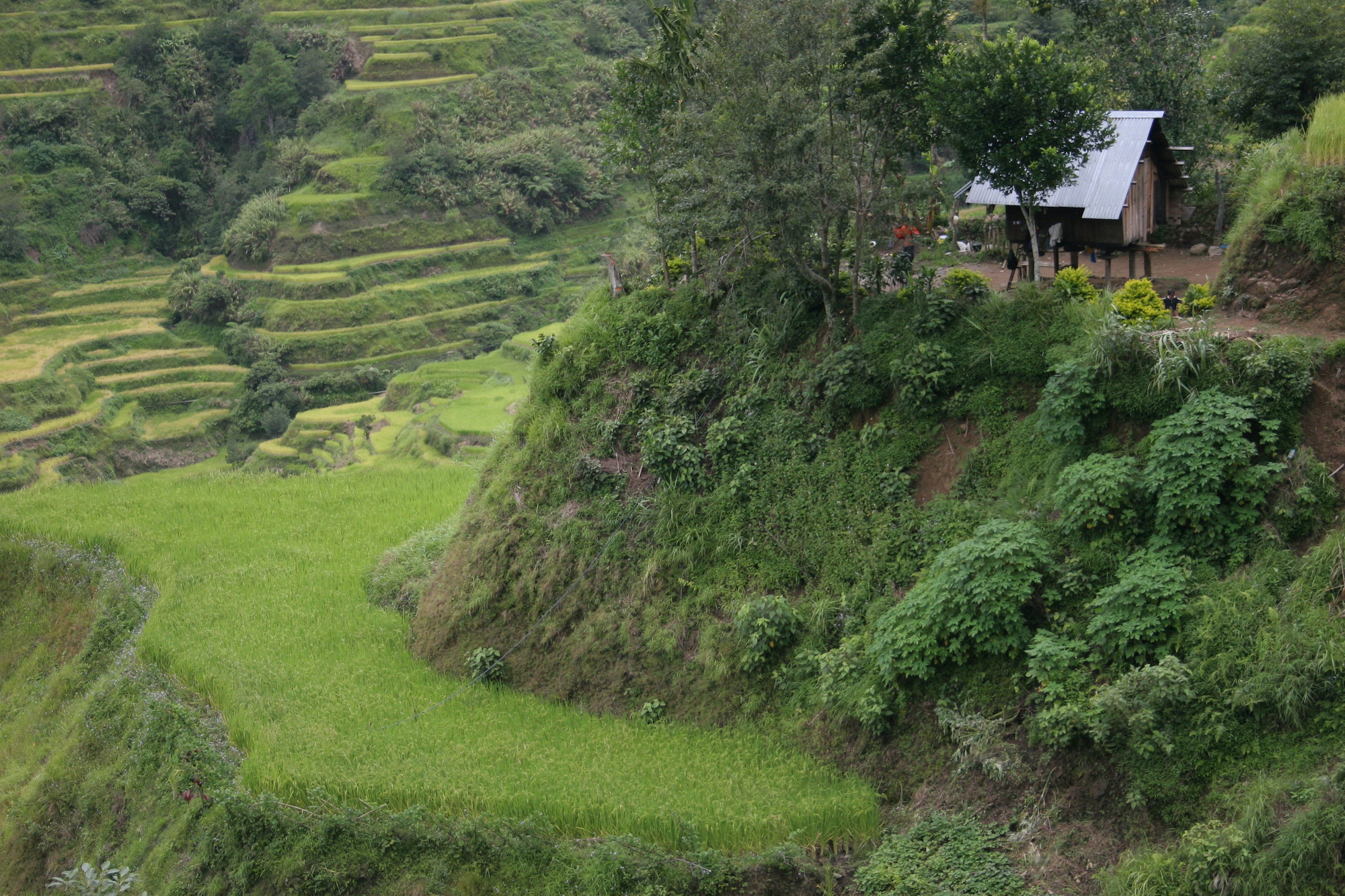 Banaue, Philippines, 2006 (source : Jacques Lévy)