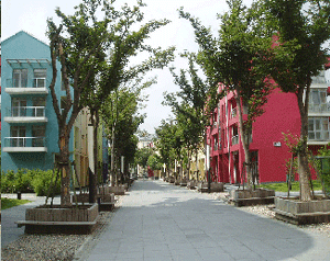 Fig. 12 : Pedestrian avenue with mixed use buildings, Anting.
