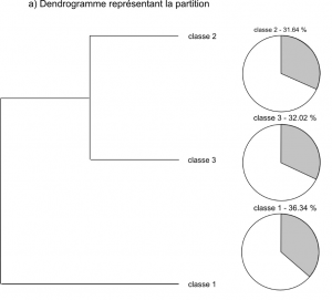 Figure 6a : La classification issue de la méthode Reinert. Source : Romain J. Garcier et Yves-François Le Lay.