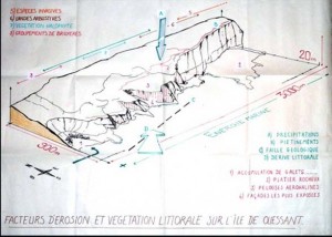 Illustration 3 : Julien Gayraud, « Bloc diagramme des falaises de Ouessant », mars 2014.