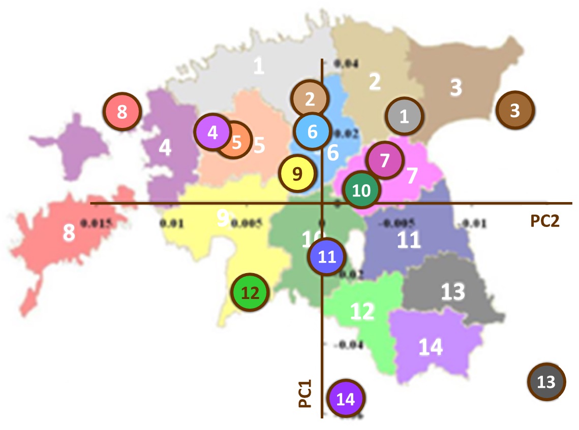 Figure 4 : Structure génétique de l’Estonie. Analyse en composantes principales (PC1 et PC2) des données génétiques issues d’un millier de personnes natives de 14 comtés d’Estonie. Les cercles colorés et numérotés représentent chacun la médiane des valeurs pour tous les individus d’un comté donné pour les deux composantes principales. La superposition de ces données génétiques avec une carte géographique de l’Estonie montre combien les proximités génétique et géographique sont corrélées. Figure adaptée de Nelis et al. 2009, p. e5472.