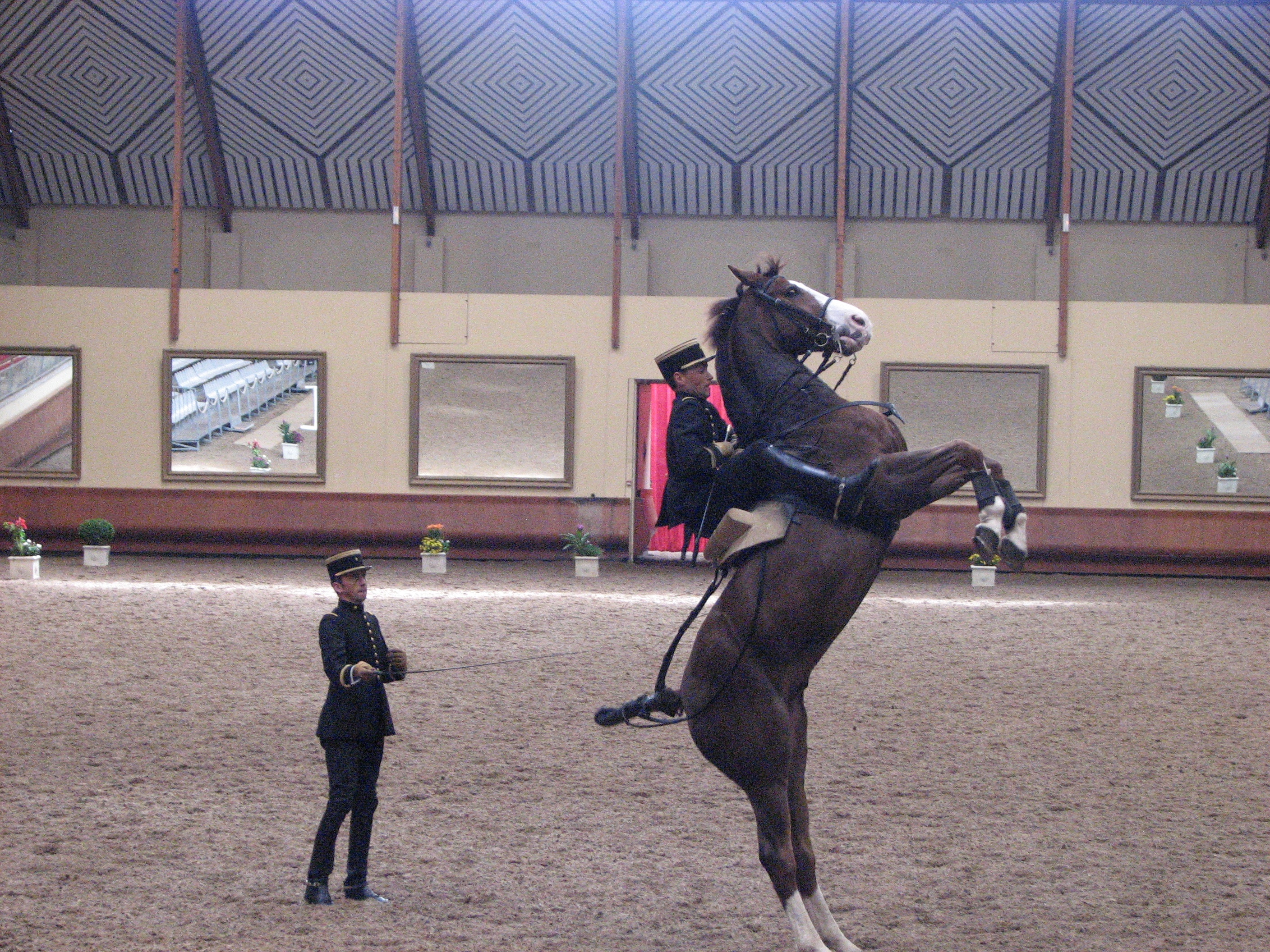 Figure 1 : La difficile équation entre équitation de tradition (Cadre noir de Saumur)… Source : Sylvine Pickel-Chevalier, 2012.