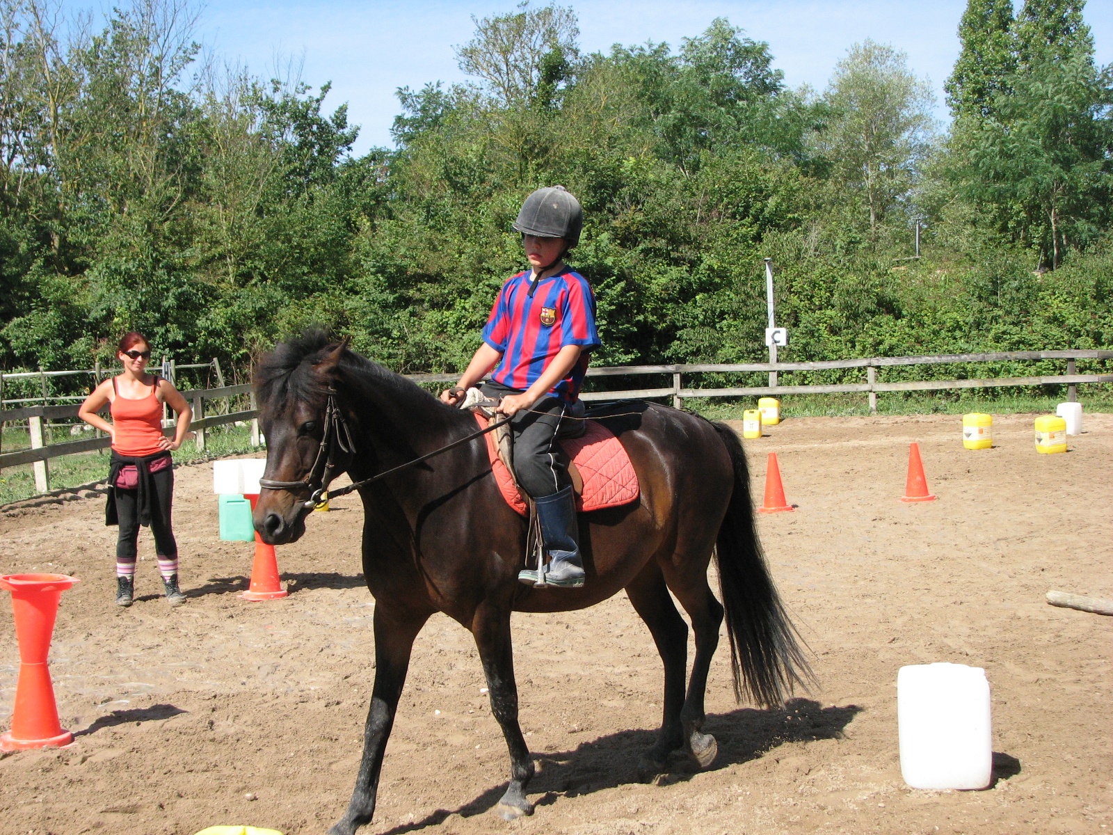 Figure 2 : ... et les pratiques contemporaines dominées par une équitation de loisir en poney club. Source : Sylvine Pickel-Chevalier, 2012.